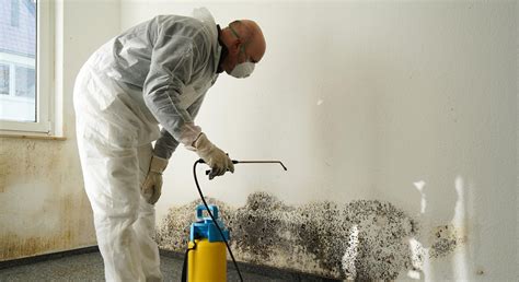Mold removal east massapequa ny  in Massapequa, NY removes existing mold and prevents mold regrowth